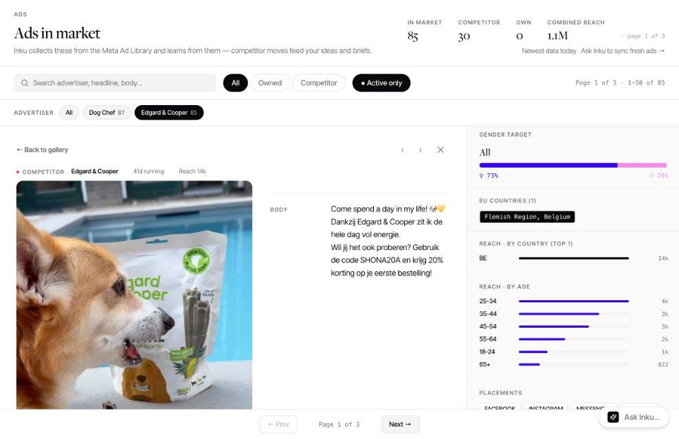 Detail view of a competitor ad with reach, target group and placements