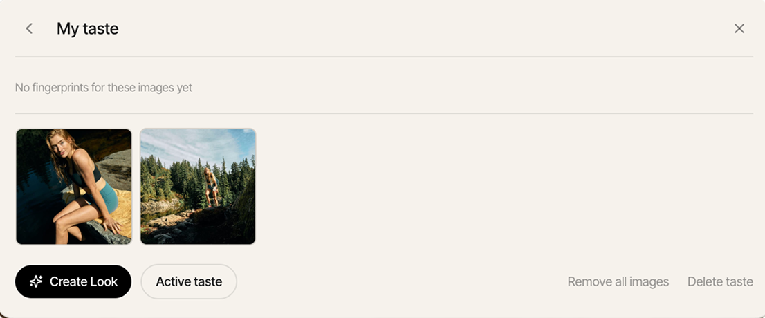 My taste panel with selected images and a create look action